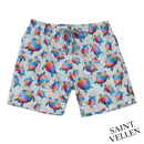Shorts Vilebrequin Masculino